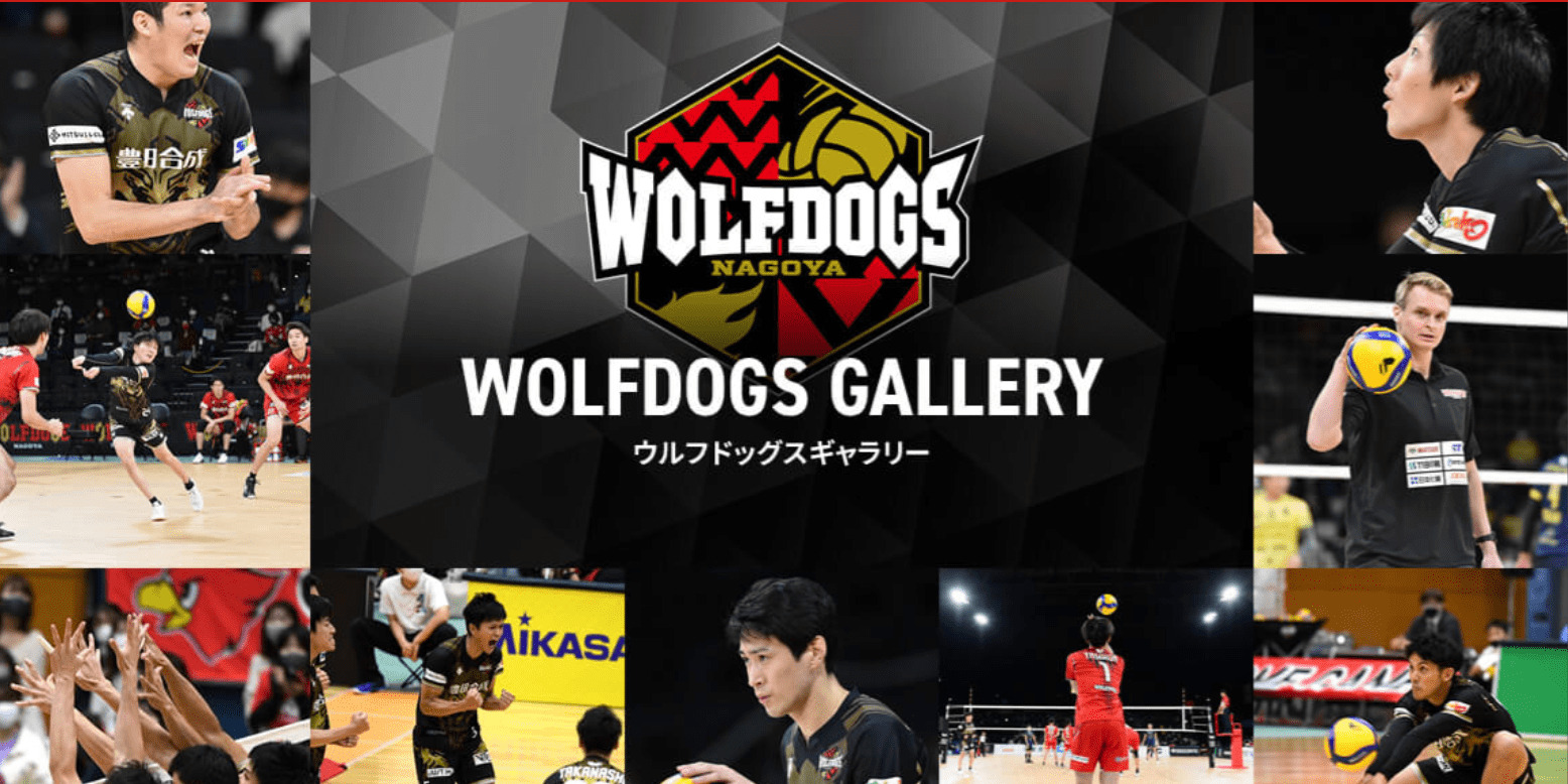 ウルフドッグス名古屋公式サイトの画像